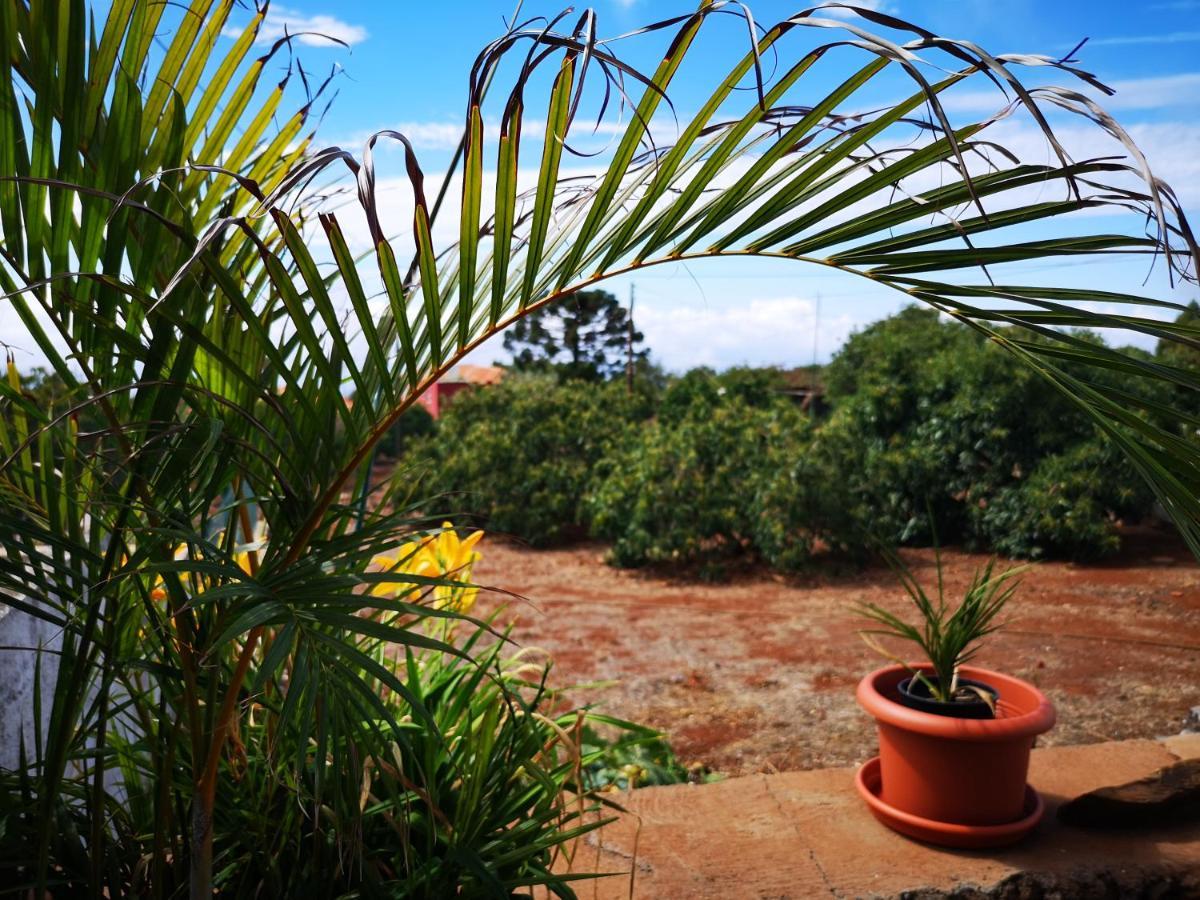 Pino Redondo Villa Puntagorda  Luaran gambar