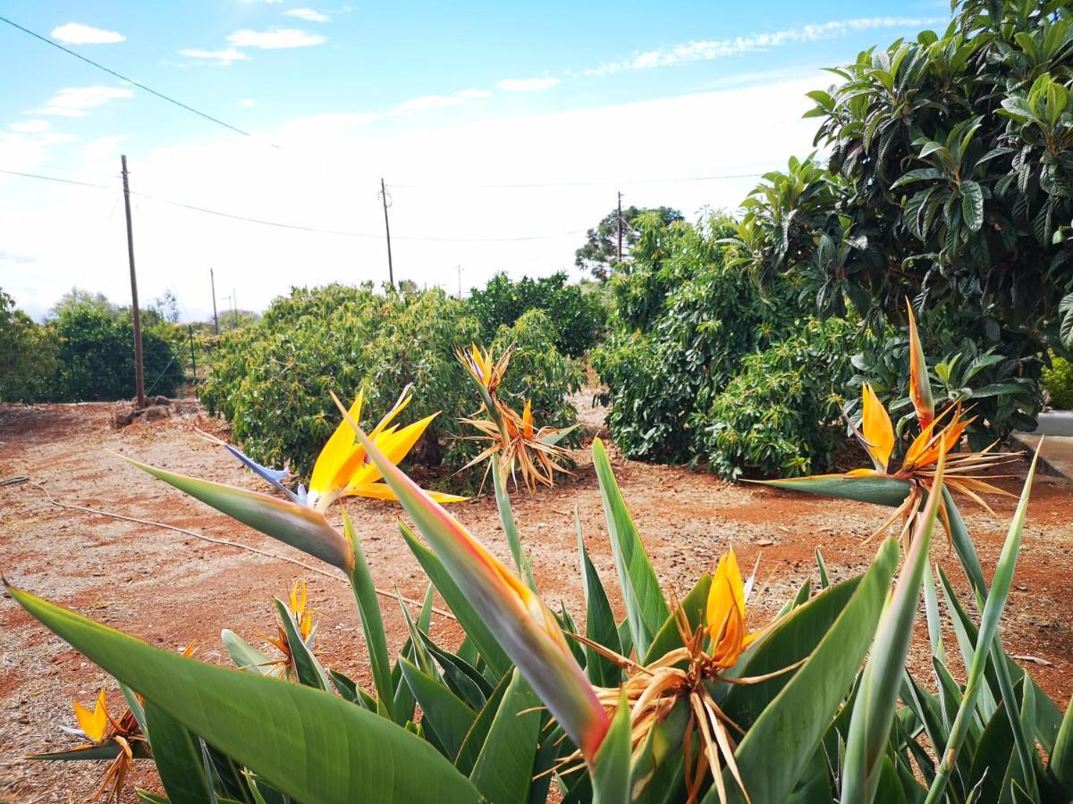 Pino Redondo Villa Puntagorda  Luaran gambar